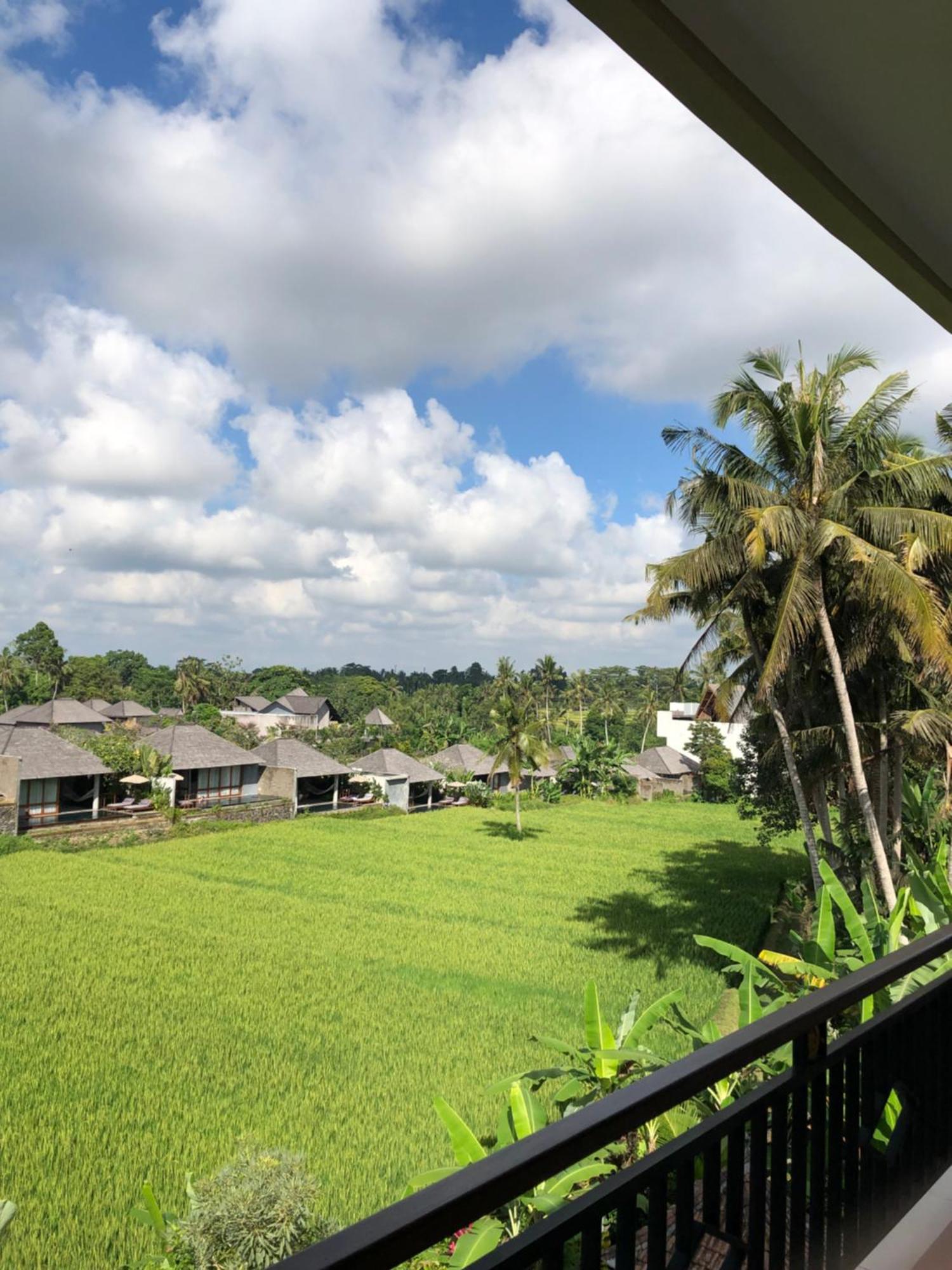 Mira Family Cottages Ubud Exteriör bild