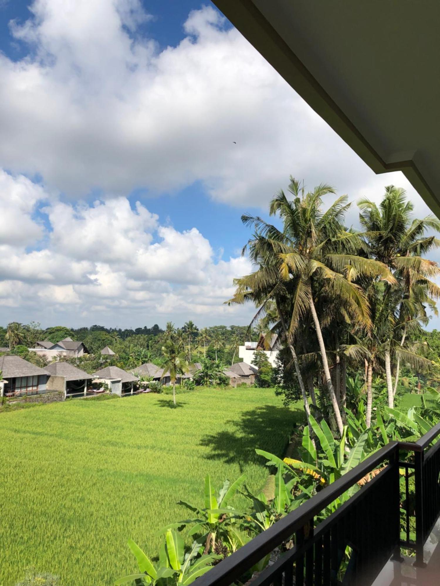 Mira Family Cottages Ubud Exteriör bild
