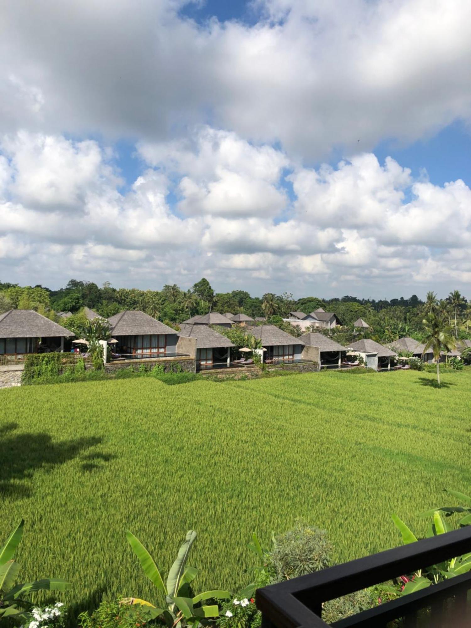 Mira Family Cottages Ubud Exteriör bild